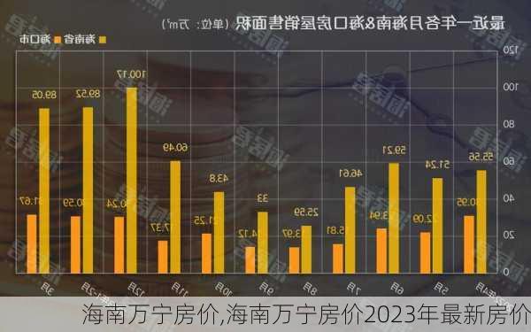 海南万宁房价,海南万宁房价2023年最新房价-第2张图片-阳光出游网