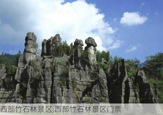 西部竹石林景区,西部竹石林景区门票-第2张图片-阳光出游网