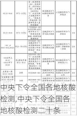 中央下令全国各地核酸检测,中央下令全国各地核酸检测二十条-第1张图片-阳光出游网