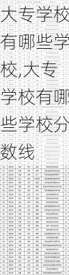 大专学校有哪些学校,大专学校有哪些学校分数线