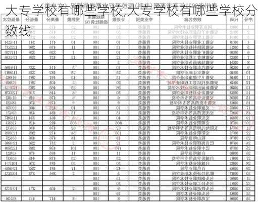 大专学校有哪些学校,大专学校有哪些学校分数线-第3张图片-阳光出游网