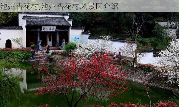 池州杏花村,池州杏花村风景区介绍-第1张图片-阳光出游网