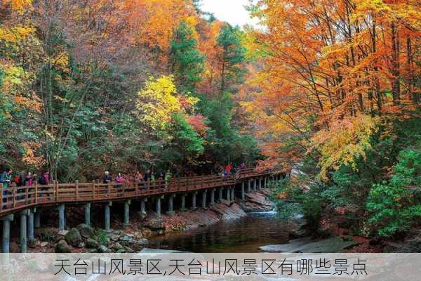 天台山风景区,天台山风景区有哪些景点-第2张图片-阳光出游网