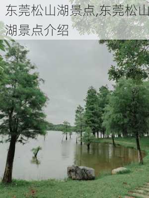 东莞松山湖景点,东莞松山湖景点介绍-第2张图片-阳光出游网