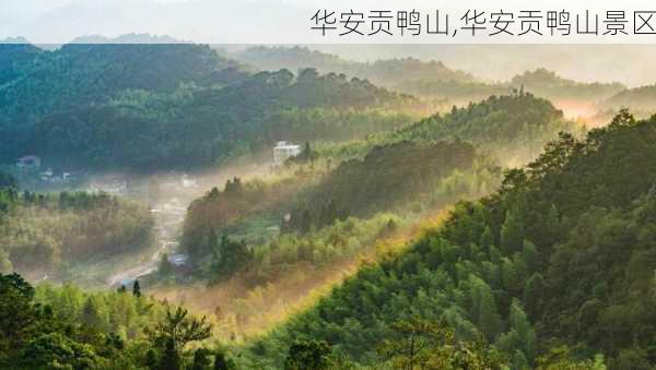 华安贡鸭山,华安贡鸭山景区-第3张图片-阳光出游网