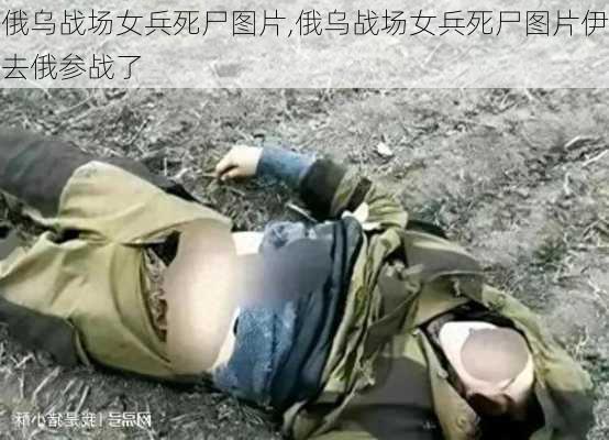 俄乌战场女兵死尸图片,俄乌战场女兵死尸图片伊去俄参战了-第1张图片-阳光出游网