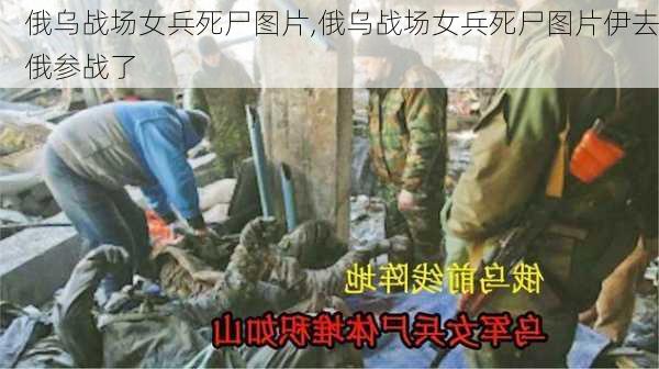 俄乌战场女兵死尸图片,俄乌战场女兵死尸图片伊去俄参战了-第3张图片-阳光出游网