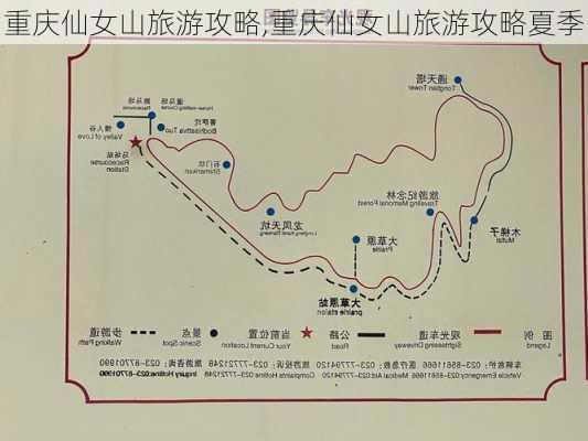 重庆仙女山旅游攻略,重庆仙女山旅游攻略夏季-第3张图片-阳光出游网