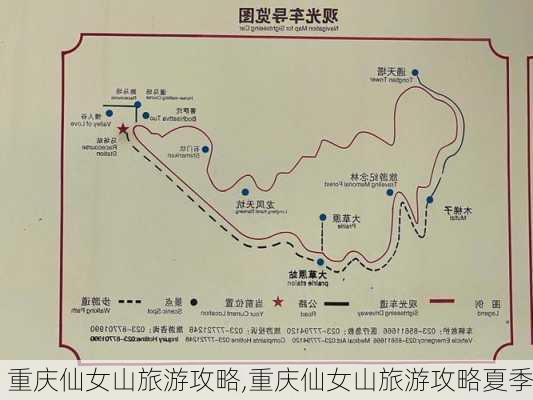 重庆仙女山旅游攻略,重庆仙女山旅游攻略夏季-第2张图片-阳光出游网