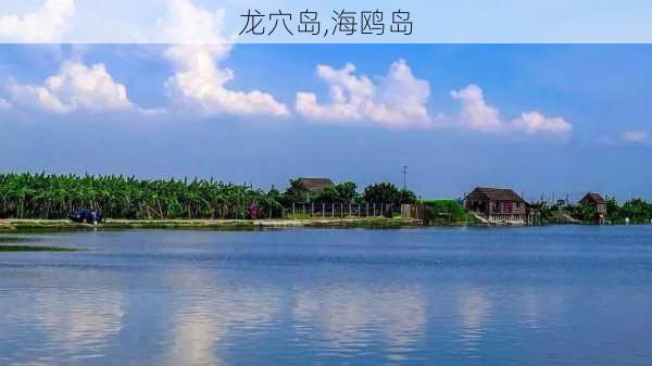 龙穴岛,海鸥岛-第3张图片-阳光出游网