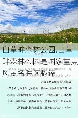 白草畔森林公园,白草畔森林公园是国家重点风景名胜区翻译-第3张图片-阳光出游网