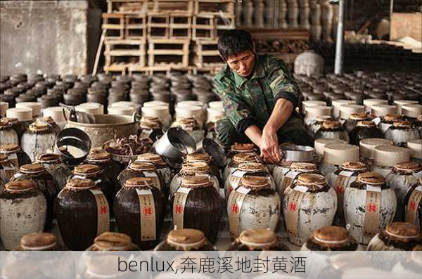 benlux,奔鹿溪地封黄酒-第2张图片-阳光出游网