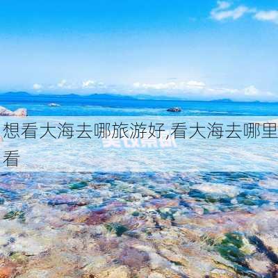 想看大海去哪旅游好,看大海去哪里看-第2张图片-阳光出游网