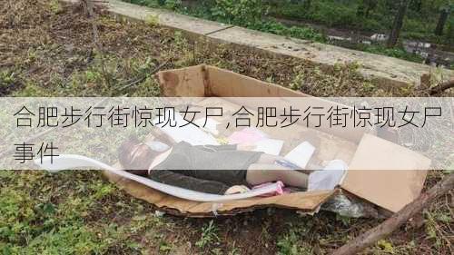 合肥步行街惊现女尸,合肥步行街惊现女尸事件-第2张图片-阳光出游网