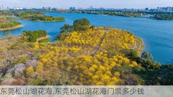 东莞松山湖花海,东莞松山湖花海门票多少钱-第1张图片-阳光出游网