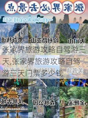 张家界旅游攻略自驾游三天,张家界旅游攻略自驾游三天门票多少钱-第2张图片-阳光出游网