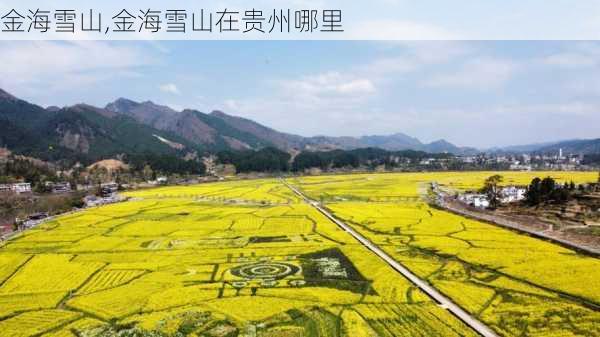 金海雪山,金海雪山在贵州哪里-第1张图片-阳光出游网