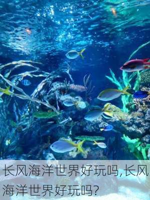 长风海洋世界好玩吗,长风海洋世界好玩吗?-第2张图片-阳光出游网