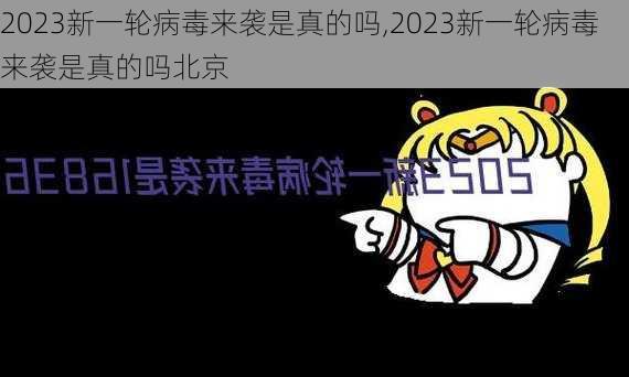 2023新一轮病毒来袭是真的吗,2023新一轮病毒来袭是真的吗北京-第3张图片-阳光出游网