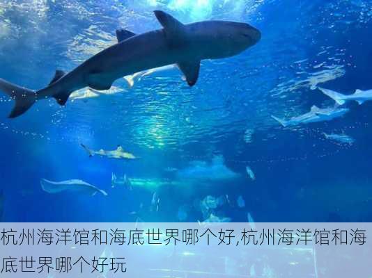 杭州海洋馆和海底世界哪个好,杭州海洋馆和海底世界哪个好玩-第2张图片-阳光出游网