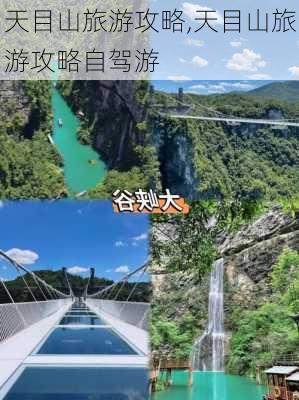 天目山旅游攻略,天目山旅游攻略自驾游-第1张图片-阳光出游网