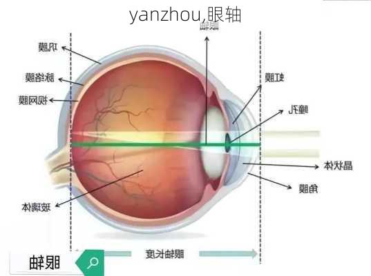 yanzhou,眼轴-第2张图片-阳光出游网