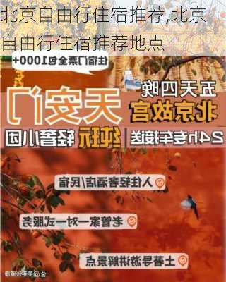 北京自由行住宿推荐,北京自由行住宿推荐地点-第3张图片-阳光出游网