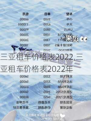 三亚租车价格表2022,三亚租车价格表2022年-第1张图片-阳光出游网