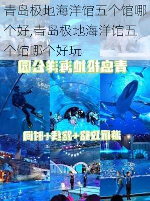 青岛极地海洋馆五个馆哪个好,青岛极地海洋馆五个馆哪个好玩-第3张图片-阳光出游网