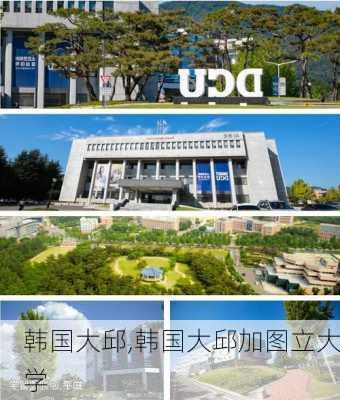 韩国大邱,韩国大邱加图立大学-第2张图片-阳光出游网