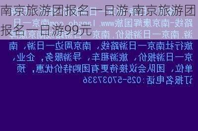 南京旅游团报名一日游,南京旅游团报名一日游99元-第3张图片-阳光出游网