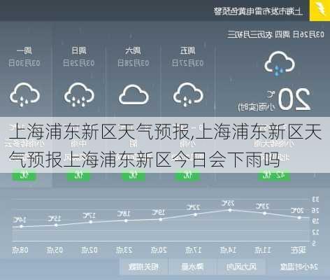 上海浦东新区天气预报,上海浦东新区天气预报上海浦东新区今日会下雨吗-第2张图片-阳光出游网
