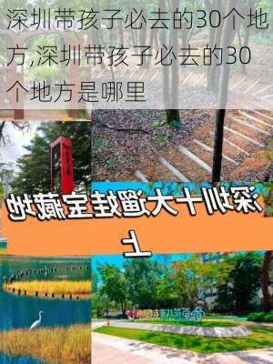 深圳带孩子必去的30个地方,深圳带孩子必去的30个地方是哪里-第2张图片-阳光出游网