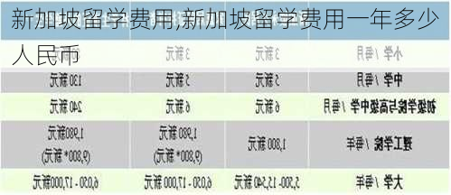 新加坡留学费用,新加坡留学费用一年多少人民币-第3张图片-阳光出游网