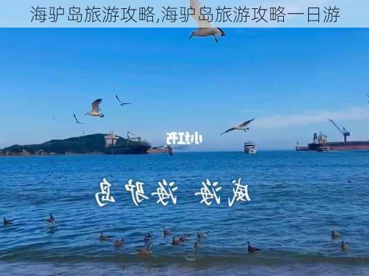 海驴岛旅游攻略,海驴岛旅游攻略一日游-第2张图片-阳光出游网