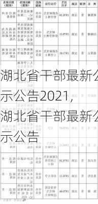 湖北省干部最新公示公告2021,湖北省干部最新公示公告