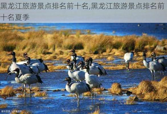 黑龙江旅游景点排名前十名,黑龙江旅游景点排名前十名夏季-第3张图片-阳光出游网