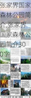 张家界国家森林公园简介,张家界国家森林公园简介300字-第2张图片-阳光出游网