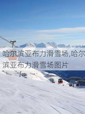 哈尔滨亚布力滑雪场,哈尔滨亚布力滑雪场图片-第1张图片-阳光出游网