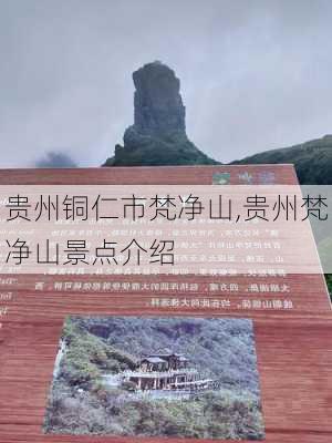 贵州铜仁市梵净山,贵州梵净山景点介绍-第1张图片-阳光出游网