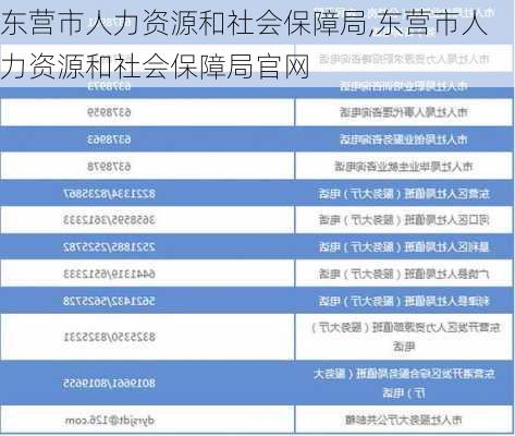 东营市人力资源和社会保障局,东营市人力资源和社会保障局官网-第3张图片-阳光出游网