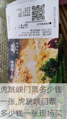 虎跳峡门票多少钱一张,虎跳峡门票多少钱一张现场买-第3张图片-阳光出游网