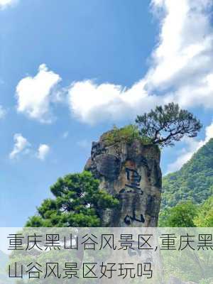 重庆黑山谷风景区,重庆黑山谷风景区好玩吗-第3张图片-阳光出游网