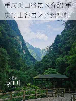 重庆黑山谷景区介绍,重庆黑山谷景区介绍视频-第3张图片-阳光出游网