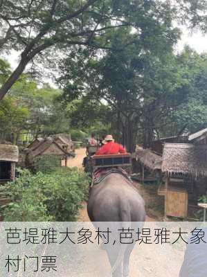 芭堤雅大象村,芭堤雅大象村门票-第3张图片-阳光出游网