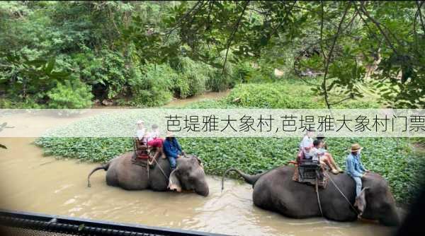 芭堤雅大象村,芭堤雅大象村门票-第2张图片-阳光出游网