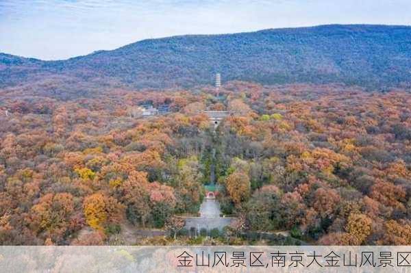 金山风景区,南京大金山风景区-第2张图片-阳光出游网