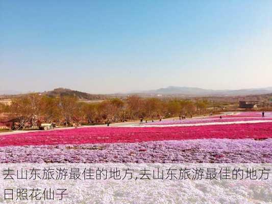 去山东旅游最佳的地方,去山东旅游最佳的地方日照花仙子-第1张图片-阳光出游网