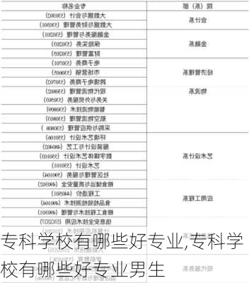 专科学校有哪些好专业,专科学校有哪些好专业男生-第2张图片-阳光出游网