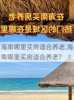 海南哪里买房适合养老,海南哪里买房适合养老?-第2张图片-阳光出游网